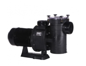 Bomba piscina HCP 4000  Hayward